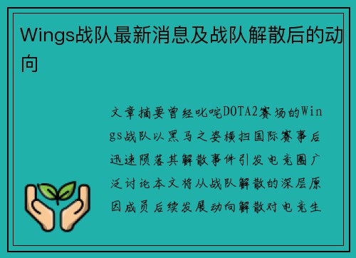 Wings战队最新消息及战队解散后的动向